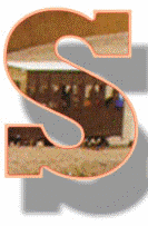 sanim.gif (70875 bytes)